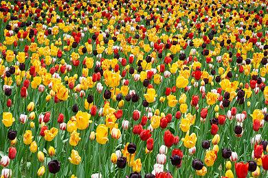 《暗黑2重制版》本周末开放全平台测试 免费试玩