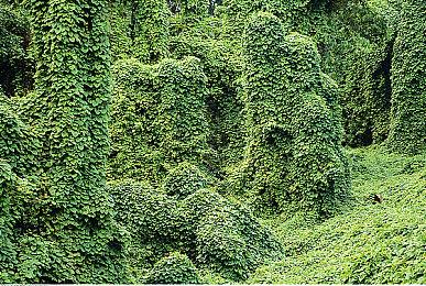 Steam 8月硬件调查 AMD CPU占比降到今年最低